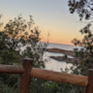 Meet your Posher, Dora